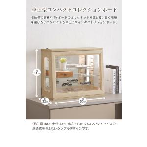 コレクションボード 幅50cm 卓上 コンパク...の詳細画像1