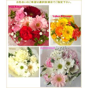 季節の花束S☆プチブーケ 即日発送可能 送料無料!☆の詳細画像1