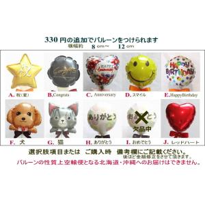 ガジュマル 観葉植物 5号 多幸の木 開店祝い...の詳細画像4