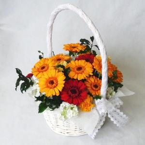プリザーブドフラワー オレンジガーベラバスケット Ledhaneco Com