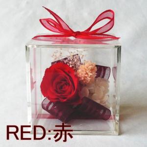 プリザーブドフラワー/キューブBOXミニ カラ...の詳細画像1