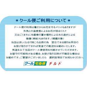 白のカーネーションとかすみそうのブーケ【御供え...の詳細画像4