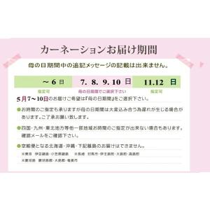 白のカーネーションとかすみそうのブーケ【御供え...の詳細画像5
