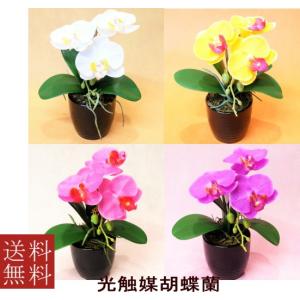 光触媒　お色が選べる　造花胡蝶蘭　ミニ