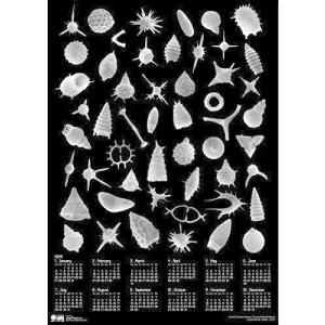 イメージミッション木鏡社 放散虫カレンダー2019 A2 CAR19A2