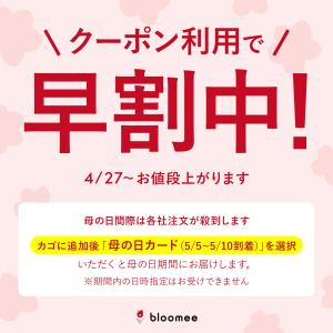 母の日 ギフト カーネーション 花 プレゼント...の詳細画像1