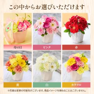 母の日 ギフト カーネーション 花 プレゼント...の詳細画像2
