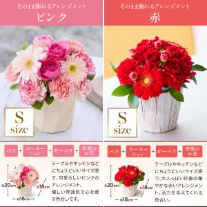 母の日 ギフト カーネーション 花 プレゼント...の詳細画像3
