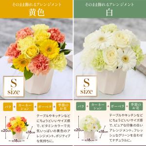 母の日 ギフト カーネーション 花 プレゼント...の詳細画像4