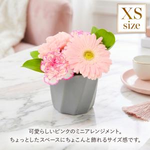 ギフト カーネーション 花 フラワーアレンジ ...の詳細画像2