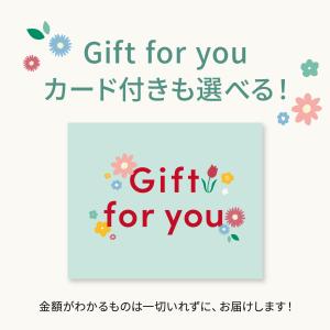 ギフト カーネーション 花 フラワーアレンジ ...の詳細画像3