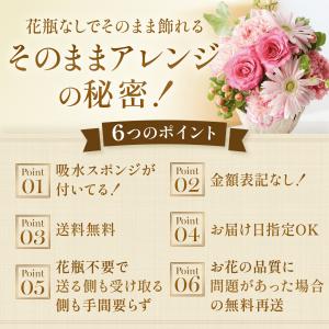 ギフト カーネーション 花 フラワーアレンジ ...の詳細画像5