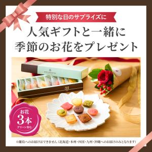 アンリシャルパンティエ プティガトー アソルテ...の詳細画像1