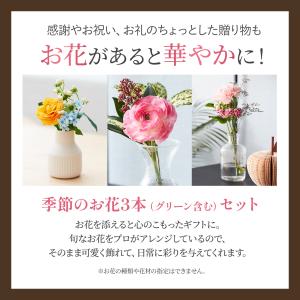 アンリシャルパンティエ プティガトー アソルテ...の詳細画像2