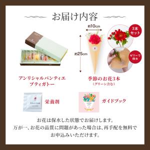 アンリシャルパンティエ プティガトー アソルテ...の詳細画像4