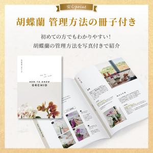 お花ギフト ブルーミー 公式 胡蝶蘭(白) 8...の詳細画像5