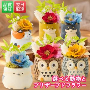 敬老の日 ギフト 花 アニマルポット プリザーブドフラワー フクロウ シマエナガ 選べるアニマル花器のギフトセット ブルーミー（bloomee）