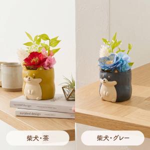 敬老の日 ギフト 花 アニマルポット プリザー...の詳細画像4