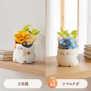 敬老の日 ギフト 花 アニマルポット プリザー...の詳細画像5