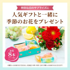 銀座千疋屋 フルーツゼリー 送別 花 ギフト ...の詳細画像3
