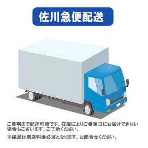 MFS6Dトーハツ6馬力船外機|4ストローク|...の詳細画像5