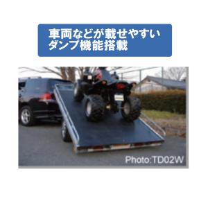 《店頭引渡》TD03ZiX慣性ブレーキ付き軽マ...の詳細画像3