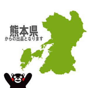 〈店頭引渡〉TD02Z軽マルチトレーラースタン...の詳細画像5