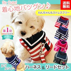 犬 ハーネス おしゃれ 脱げない リード 小型犬 かわいい 胴輪 お散歩 リードセット
