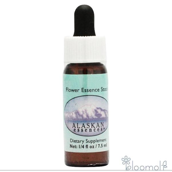 フラワーエッセンス アラスカン・エッセンス リサーチエッセンス フラワー ボグキャンドル
