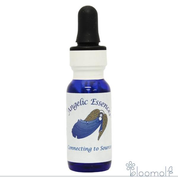 #48 コネクティング・トゥー・ザ・ソース アンジェリックエッセンス スピリチュアルな成長と目覚めの...