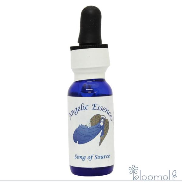 #183 ソング・オブ・ザ・ソース アンジェリックエッセンス エンライトメントキット Song of...