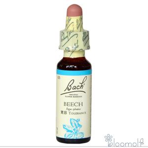 バッチフラワーレメディ 30スイートチェストナット ノンアルコープ