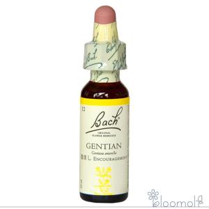 バッチフラワーレメディ 36ワイルドオート ノンアルコープタイプ 10ml