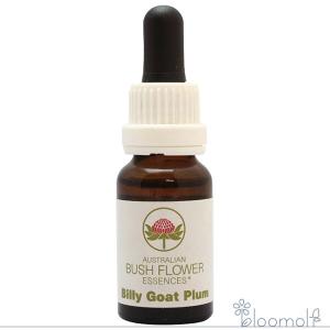 フラワーエッセンス オーストラリアンブッシュ コンビネーション