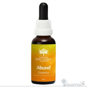 フラワーエッセンス オーストラリアンブッシュ コンビネーション