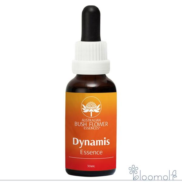 フラワーエッセンス オーストラリアンブッシュ コンビネーション ダイナミス 活力