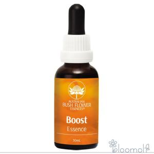 【専用】ケアラー『介護者』 オーストラリアンブッシュ フラワーエッセンス 専用】ケアラー『介護者』 オーストラリアンブッシュ