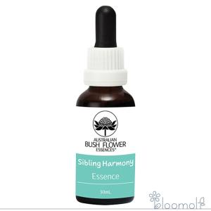 フラワーエッセンス オーストラリアンブッシュ コンビネーション