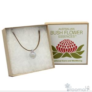 イルカ(デルフ)エッセンス入りペンダント ( 1コ入 )/ コルテPHI