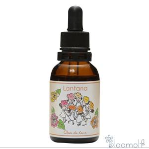 ヒマラヤン フラワー エンハンサーズ グラガ ( 15ml )/ : 爽快ドラッグ