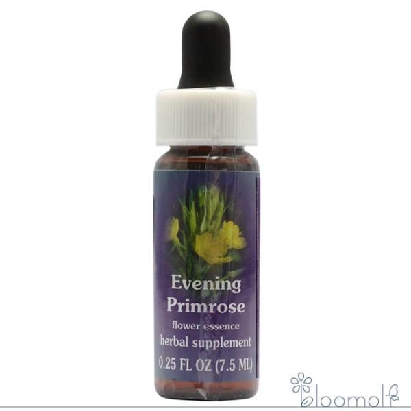 フラワーエッセンス FESフラワーエッセンス クイントエッセンス イブニングプリムローズ