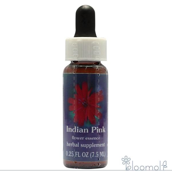 フラワーエッセンス FESフラワーエッセンス クイントエッセンス インディアンピンク