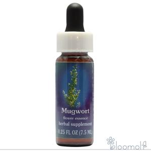 【予約品】ラブラドールティー 　アラスカンエッセンス　フラワーエッセンス ラブラドールティー アラスカンエッセンス フラワーエッセンス