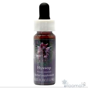 ヤローエンバイロメンタルソリューション エッセンス 30ml FES