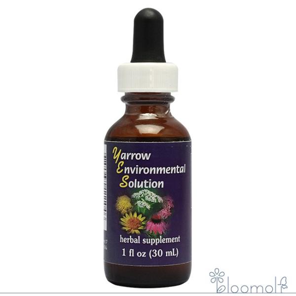 フラワーエッセンス FESフラワーエッセンス ヤローエンバイロメンタルソリューションエッセンス 30...