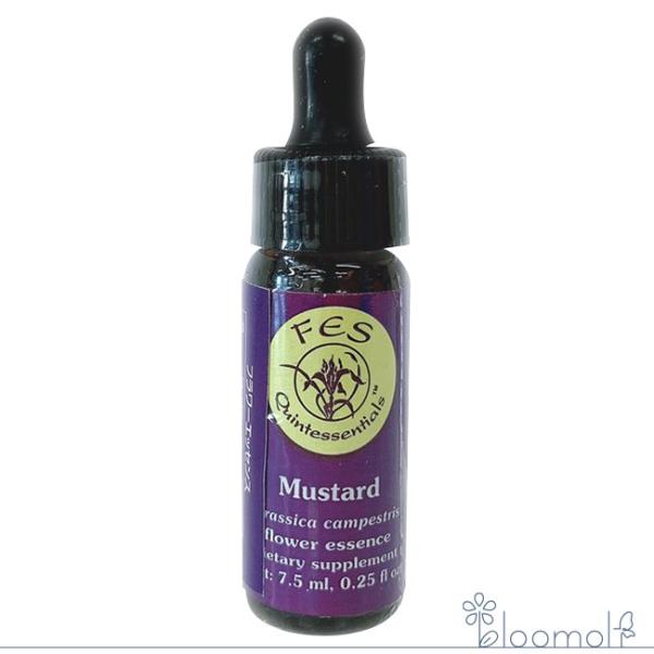 マスタード FESフラワーエッセンス リサーチバッチ 7.5ml Mustard