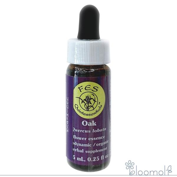 オーク FESフラワーエッセンス リサーチバッチ 7.5ml Oak