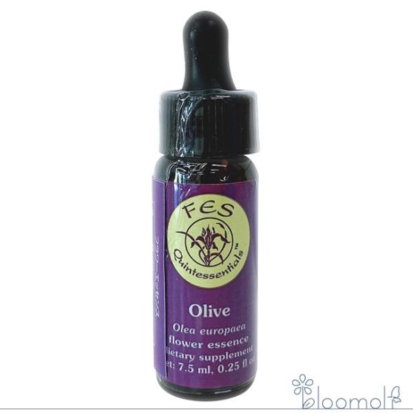 オリーブ FESフラワーエッセンス リサーチバッチ 7.5ml Olive