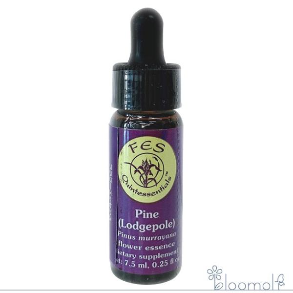 パイン FESフラワーエッセンス リサーチバッチ 7.5ml Pine