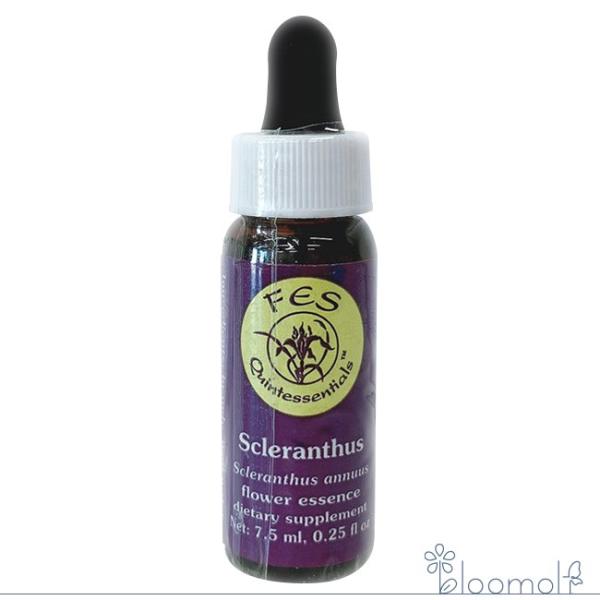 スクレランサス FESフラワーエッセンス リサーチバッチ 7.5ml Scleranthus
